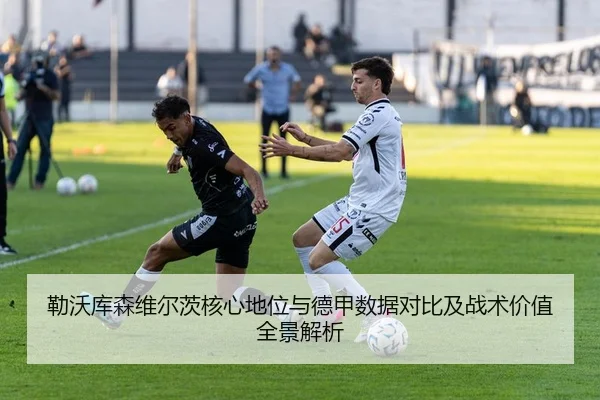 勒沃库森维尔茨核心地位与德甲数据对比及战术价值全景解析
