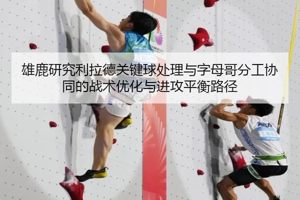 雄鹿研究利拉德关键球处理与字母哥分工协同的战术优化与进攻平衡路径
