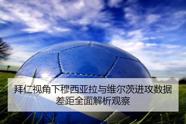 拜仁视角下穆西亚拉与维尔茨进攻数据差距全面解析观察